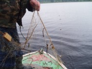 Акция "Нерест без сетей - 2011!", рыбалка на Волге. Охрана водоемов от загрязнения.